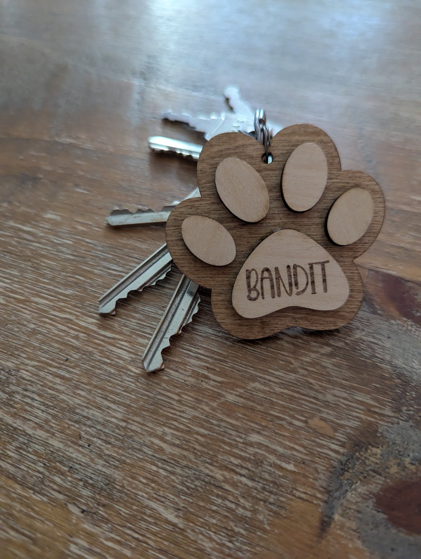 Personalised Dog or Cat Paw Print Keyring