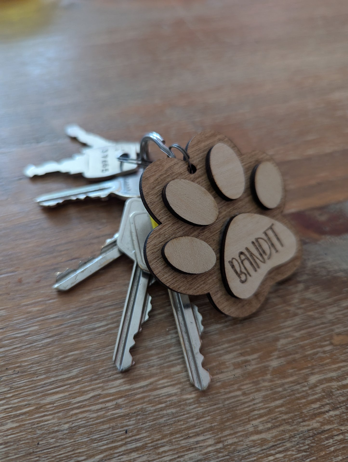 Personalised Dog or Cat Paw Print Keyring