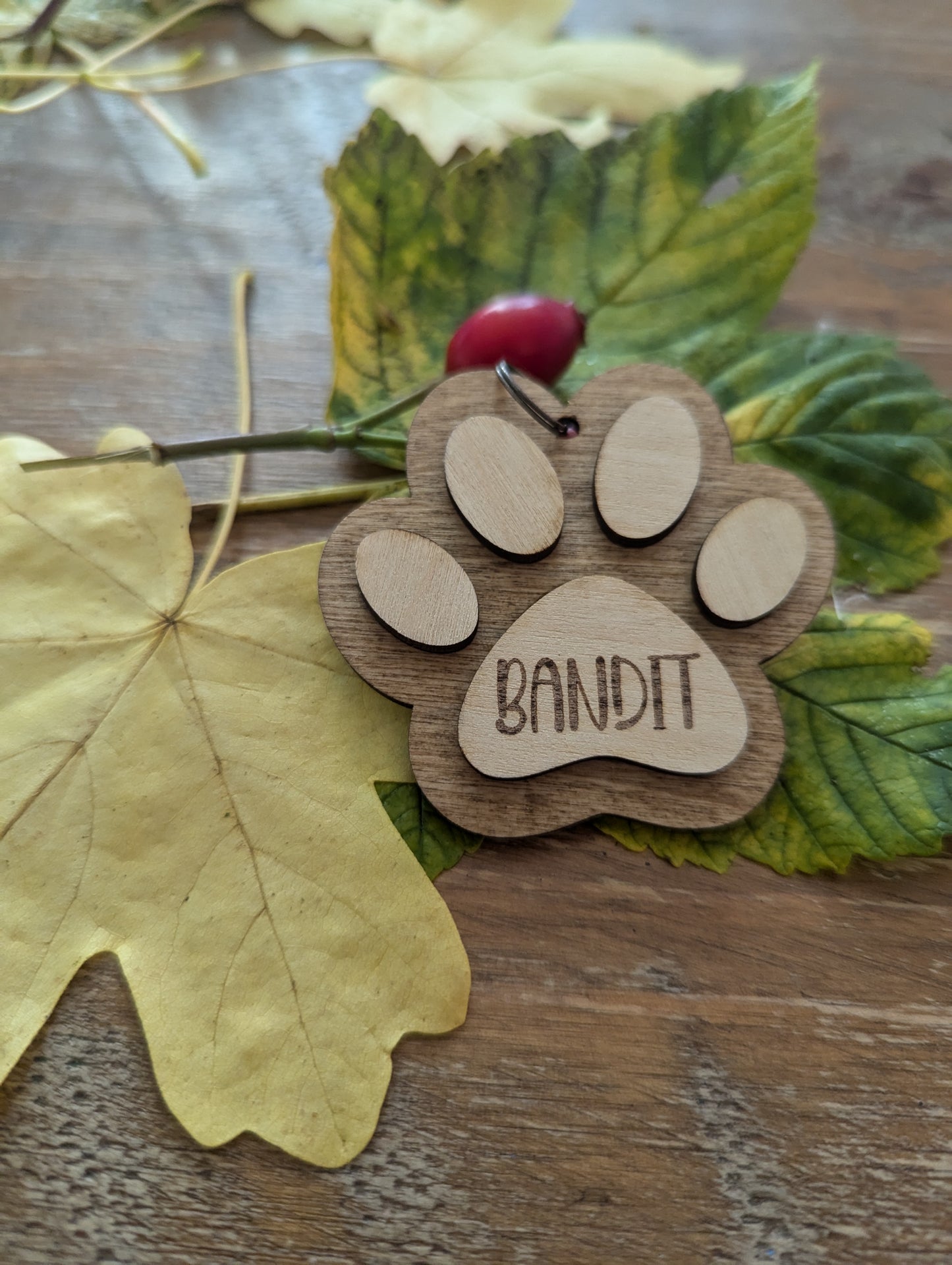 Personalised Dog or Cat Paw Print Keyring