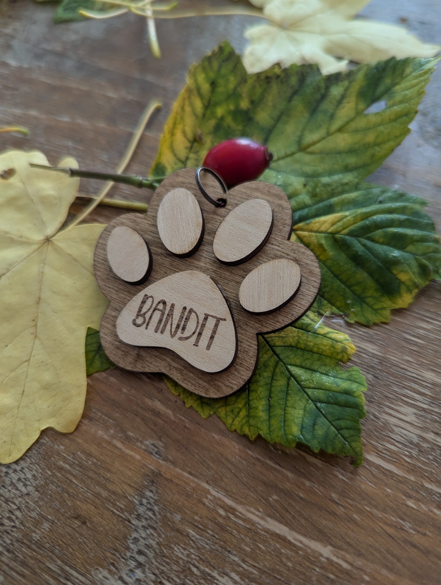 Personalised Dog or Cat Paw Print Keyring